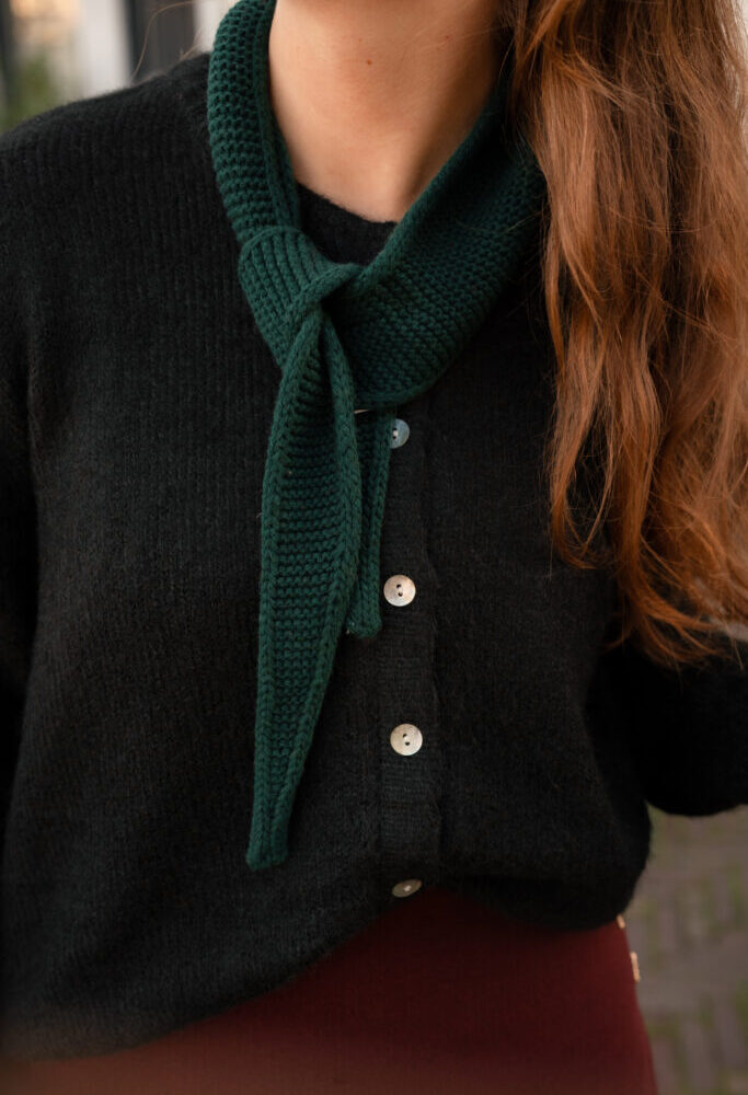 scarf Jolie Paris moss