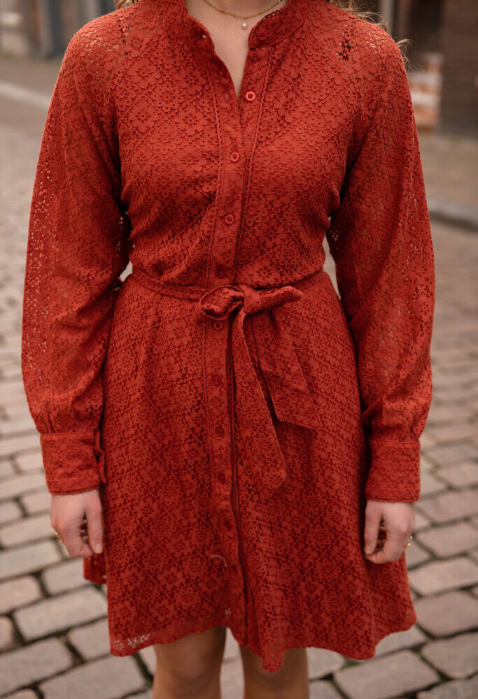 Jet's favs dress Lynde rust