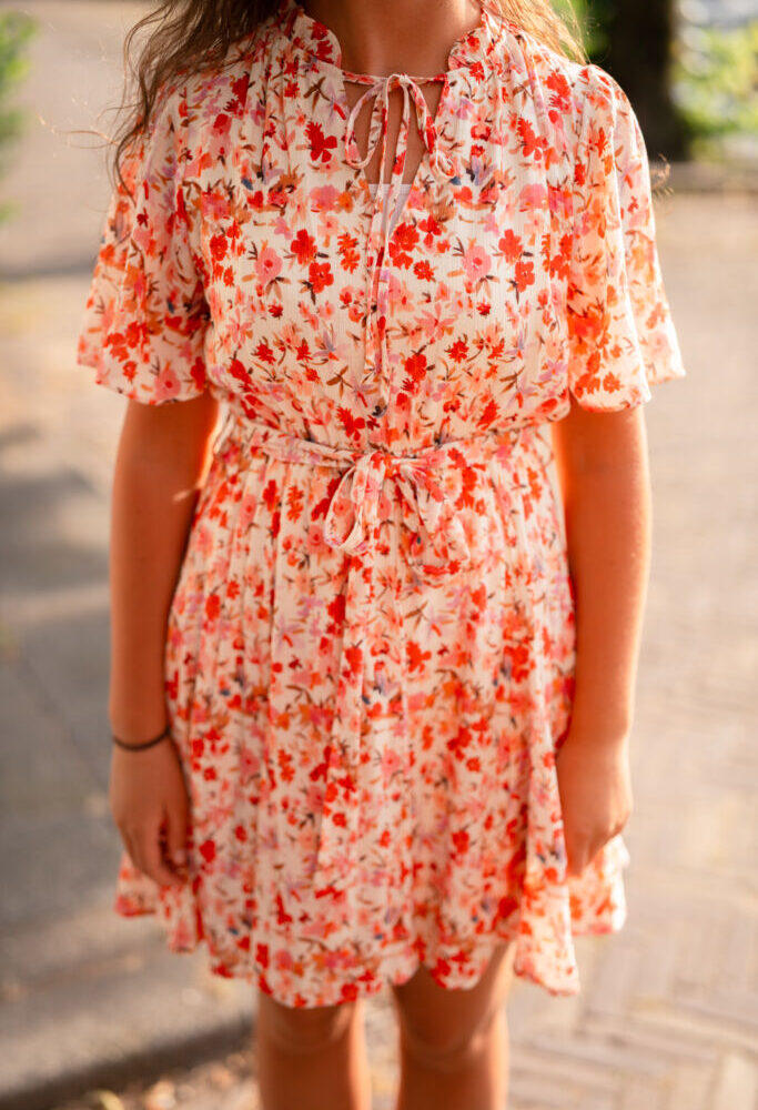 6661 rose dress madeira