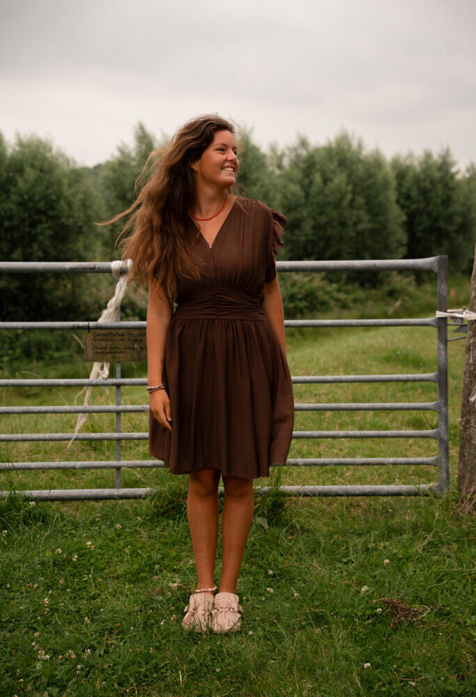 8756 azzurro fiona dress brown